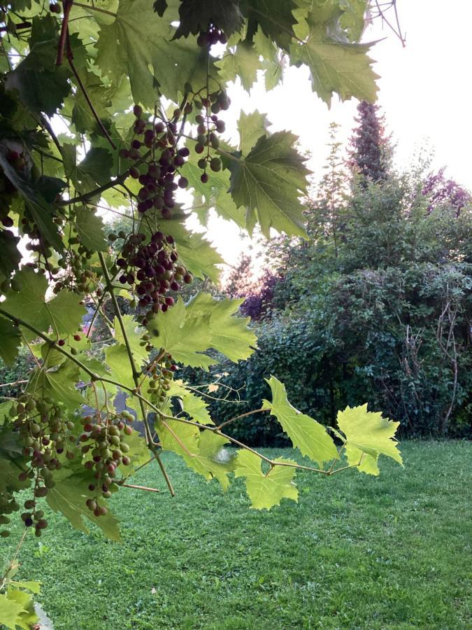 Fewo Alkapa Hilzingen Kültér fotó